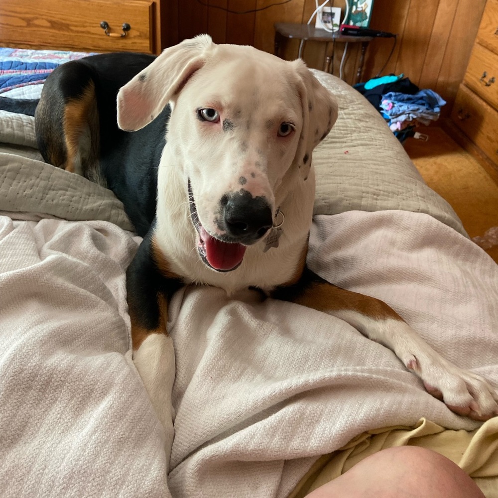 Meet your Posher, Angela